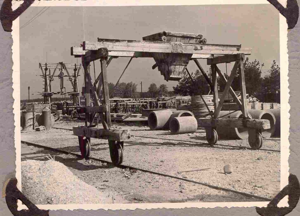 Photo Papiniide polygon