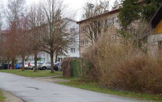 Visit to Rakvere’s arm of Swedish Kronprincess Gustav Adolf rephoto