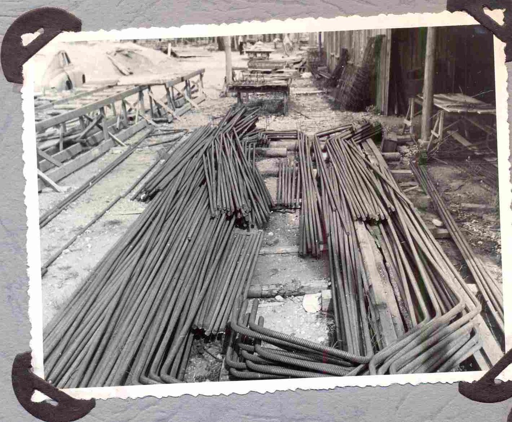 Photo on Papiniid polygon