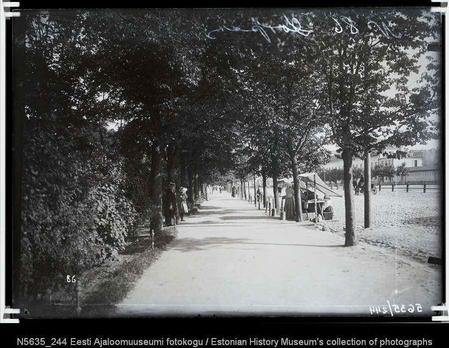 Puiestee Tähtvere linnaosas