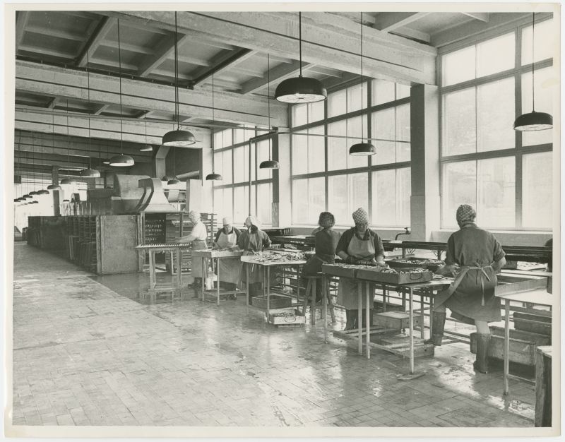 General view of the Pärnu Kalamajandi smoking factory
