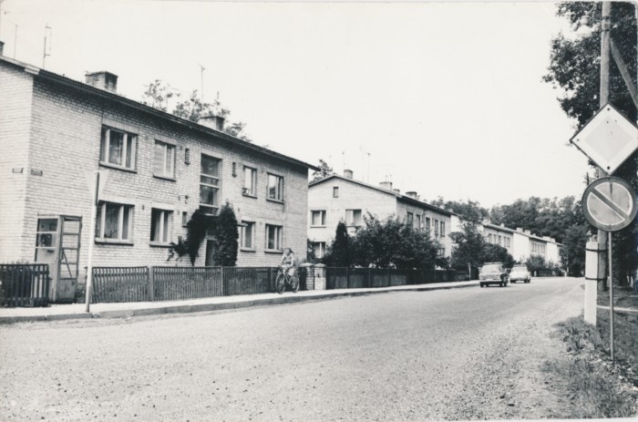 View of the Kärdla. Rookopli (Võidu) Street.