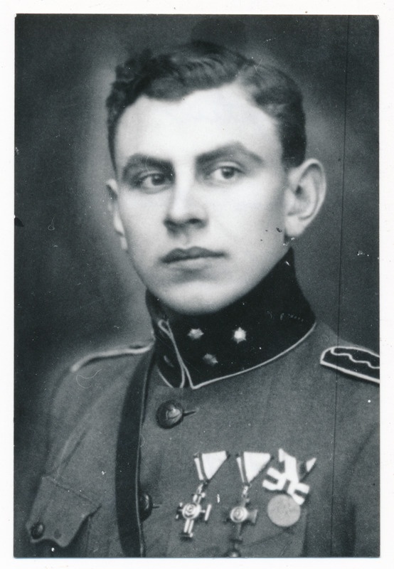 fotokoopia, Johannes Voldemar Holland