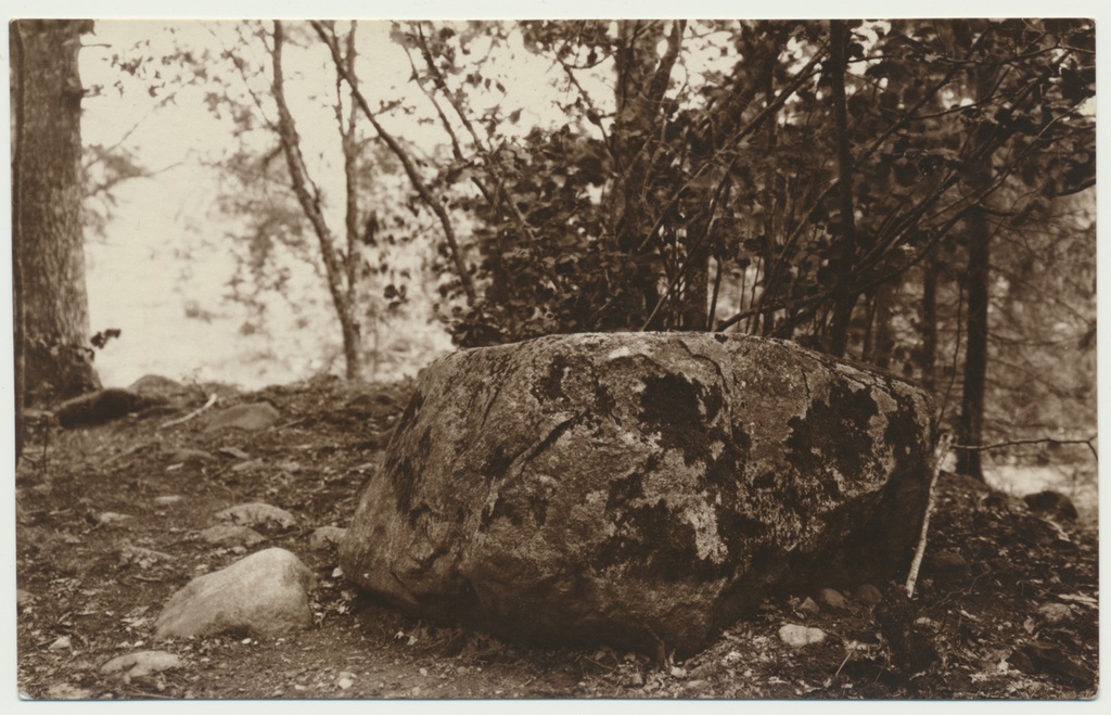 foto, Viljandimaa, Lembitu linnamägi, ohvrikivi, u 1920