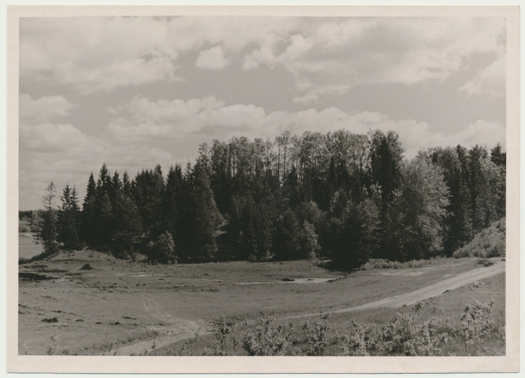foto, Viljandimaa, Naanu linnamägi, 1957