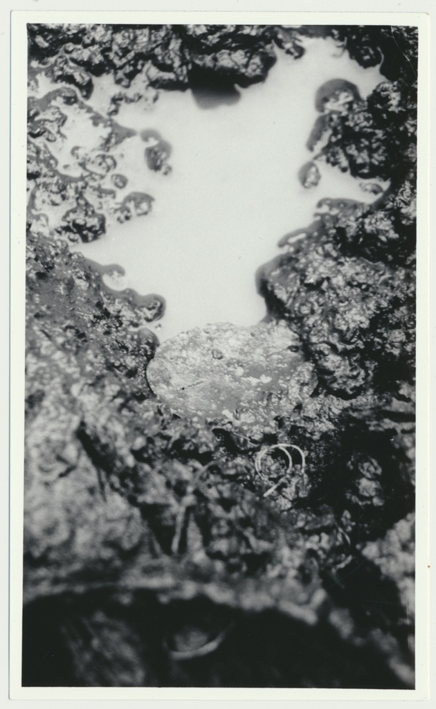 foto, Viljandi, Saksa sõdurite kalmistu, kaevamised, korrastamine, foto L. Kadalipp, 1992