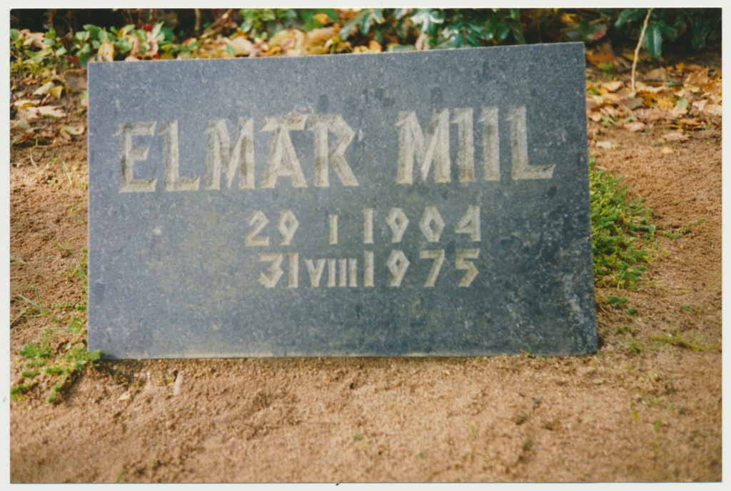 foto, Viljandi, Vana kalmistu, hauaplaat Elmar Miil, 1993, foto J. Pihlak, värviline