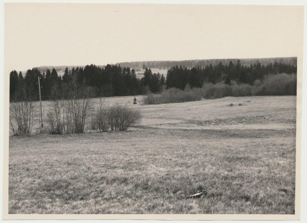 foto, Viljandimaa, Aidu vald, punakaardi organiseerija Kusta Tengi 1918.a mahalaskmise koht