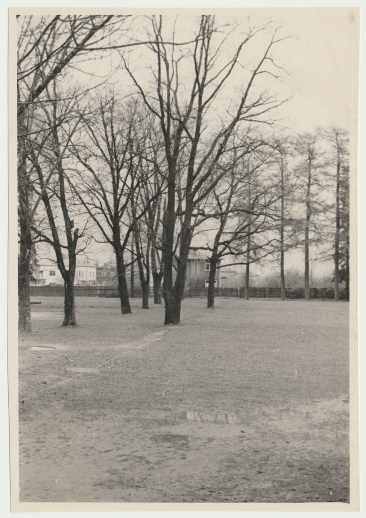 foto, Viljandi Maagümnaasiumi staadion, u 1965