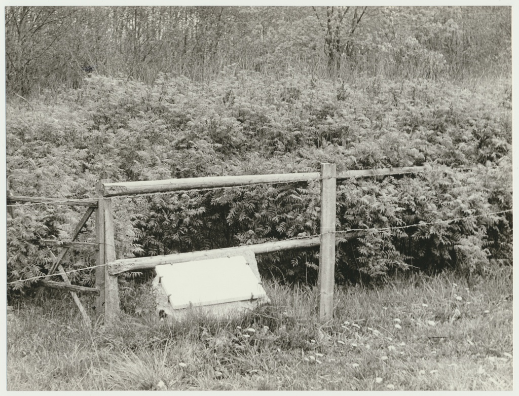 foto, Viljandimaa, Vastemõisa, A. Schröderi eluaset tähistav mälestustahvel, u 1975