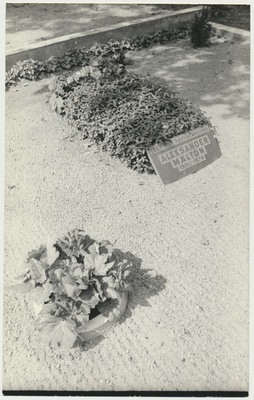 foto, Viljandimaa, Suure-Jaani, A. Mältoni haud, 1977, foto E. Veliste  duplicate photo