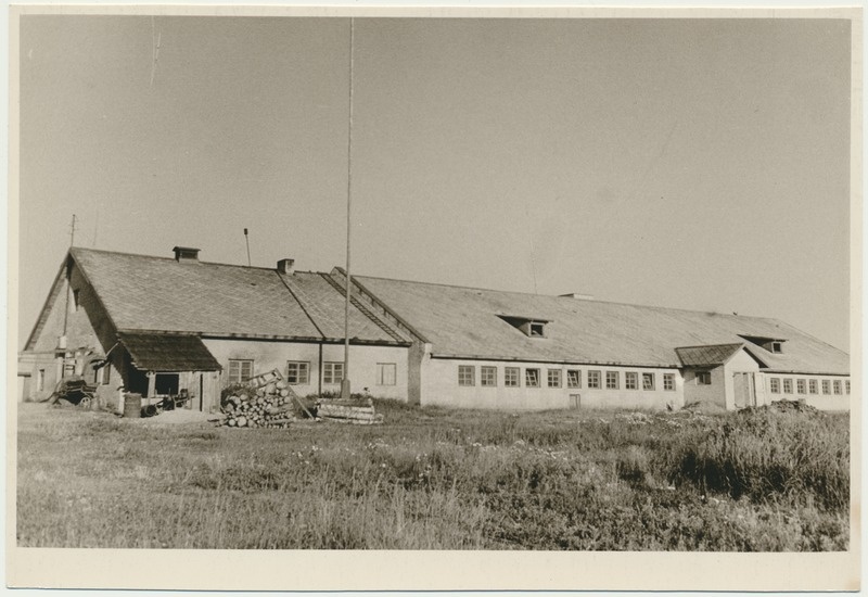 foto, Viljandimaa, Kõrgemäe sovhoosi sigala, 1958, foto L. Vellema