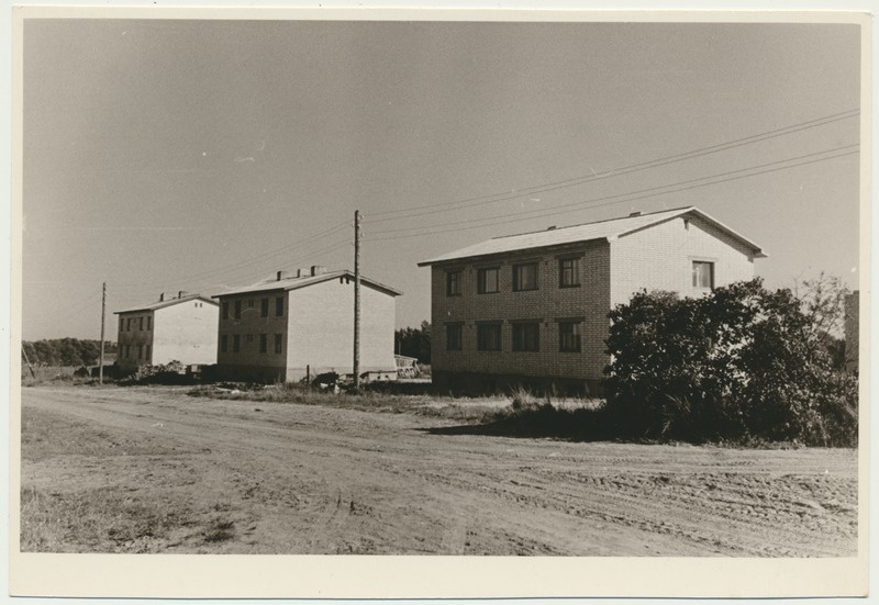 foto, Viljandimaa, Mustla sovhoos, elamud, 1963, foto L. Vellema