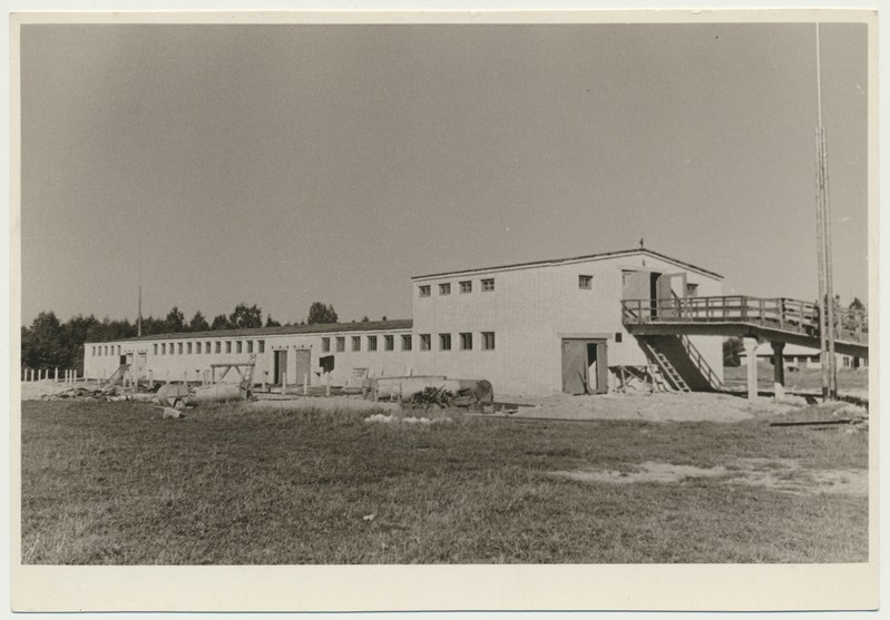 foto, Viljandimaa, Mustla sovhoos, sigala, 1963, foto L. Vellema