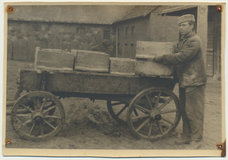 foto, Viljandimaa, Viiratsi sovhoos, kartulivaka kastide tõstmine, 1949