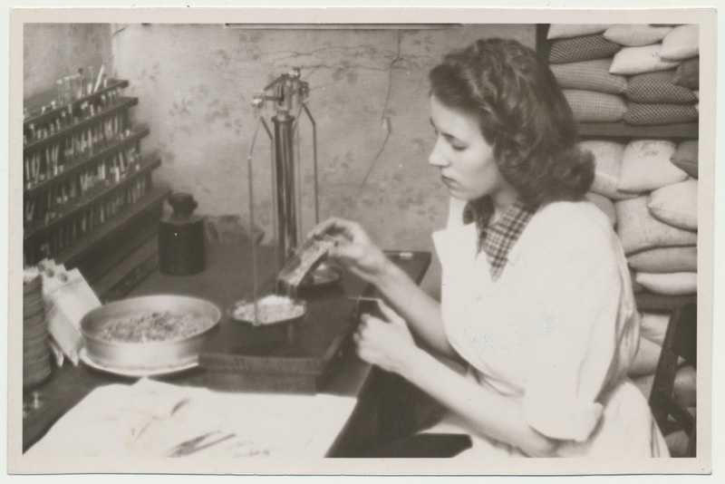 foto, Viljandi, seemnekontrolli ja taimekaitse inspektsioon, 1950