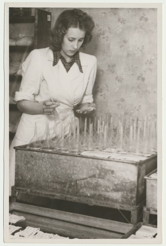 foto, Viljandi, seemnekontrolli ja taimekaitse inspektsioon, 1950