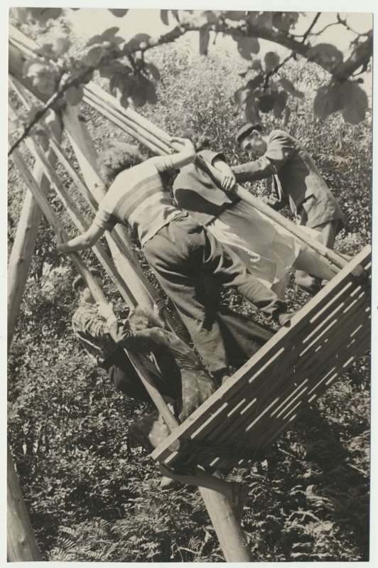 foto, Viljandimaa, Tarvastu, kolhoosi Koit noored kiikumas, u 1960, foto E. Saar