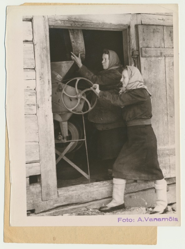 foto, Viljandimaa, kolhoos Valgus, seemnevilja sorteerimine, 1949, foto A. Vanamõis