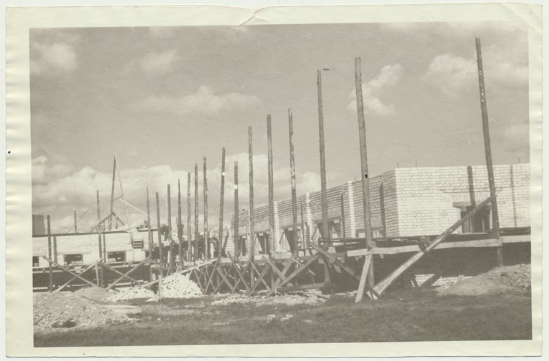 foto, Viljandimaa, Viiratsi sovhoos, karjalauda ehitus, 1950