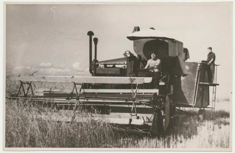 foto, Viljandimaa, Sinialliku kolhoos, viljalõikus, 1950
