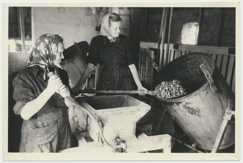 foto, Viljandimaa, Ühisjõu kolhoos, karjaköök, u 1955