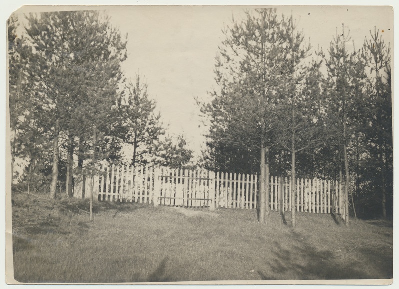 foto, Viljandimaa, Aidu vald, Kolube talu, surnuaed, u 1935
