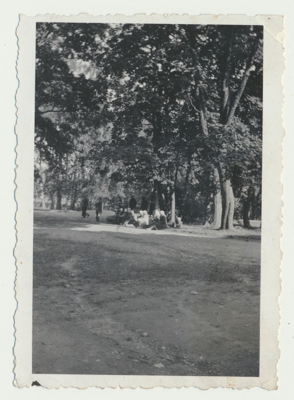 foto, Virumaa, Udriku mõis, Vabadusristi kavaleride kodu, park, u 1938