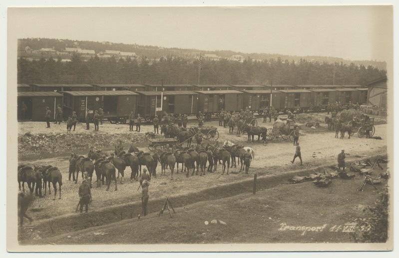 foto, Petseri raudteejaam, sõjaväe varustuse mahalaadimine, 11.08.1930