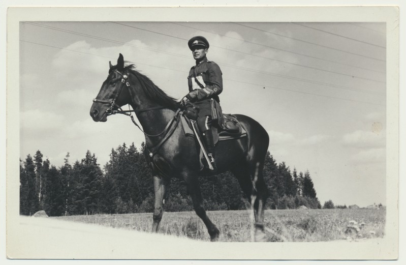 foto, kolonelleitnant M. Bergmann hobusel, 100km rännak, 1938