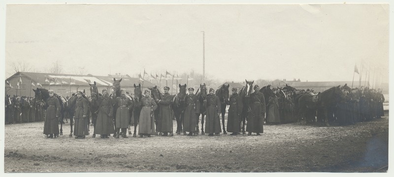 foto, Tartu, ratsarügement, grupp hobustega, 1922