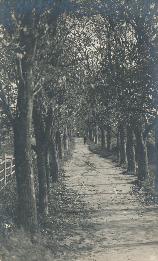 foto, Viljandi, Surnuaia allee, u 1920, foto J. Riet?