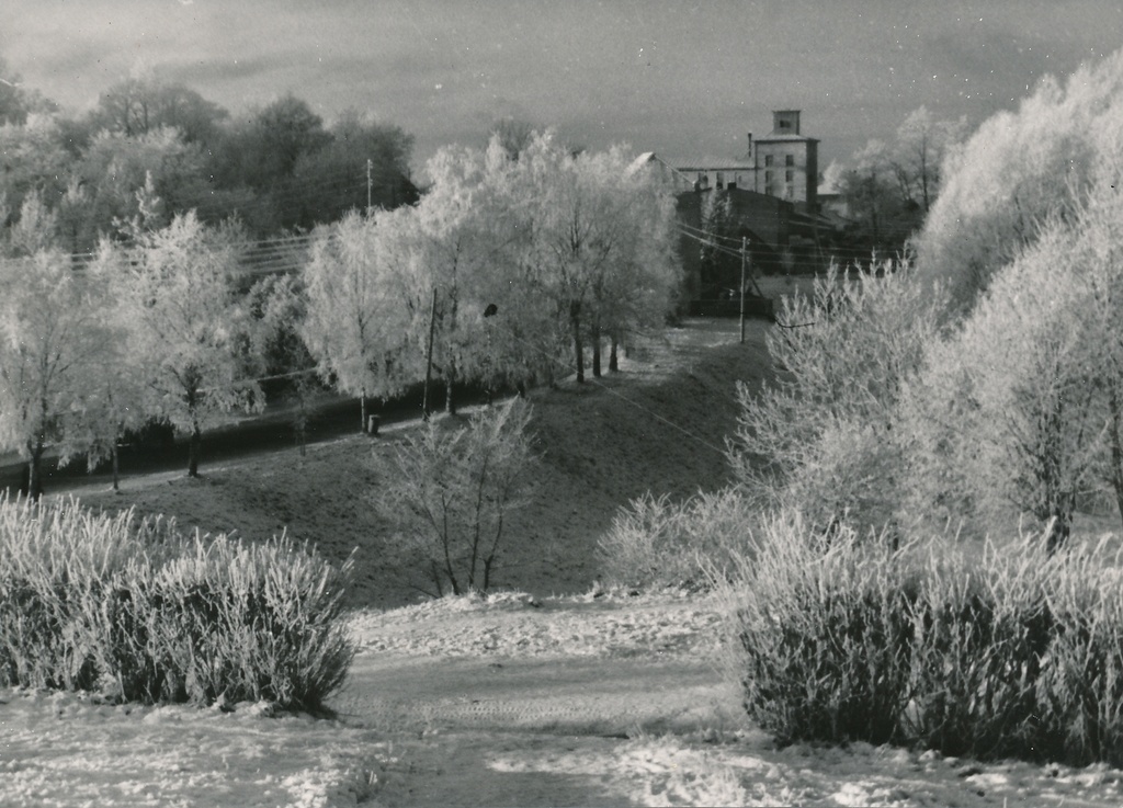 foto, Viljandi, Valuoja org, talv, 1960, foto A. Kiisla