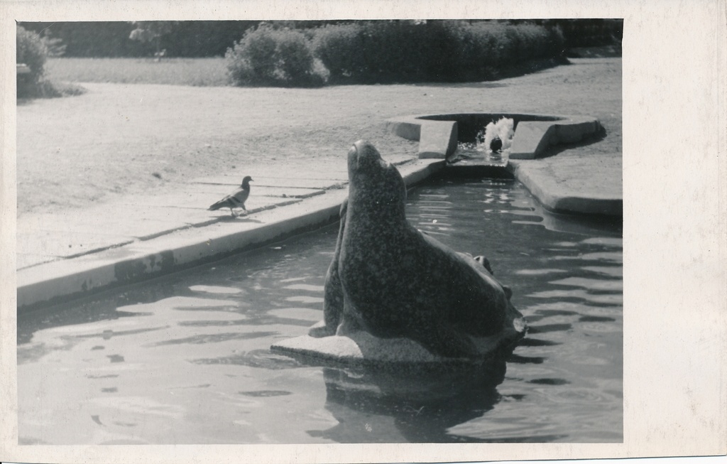 foto, Viljandi, Pioneeride park, bassein, hülgekujud, 1963, foto A. Kiisla