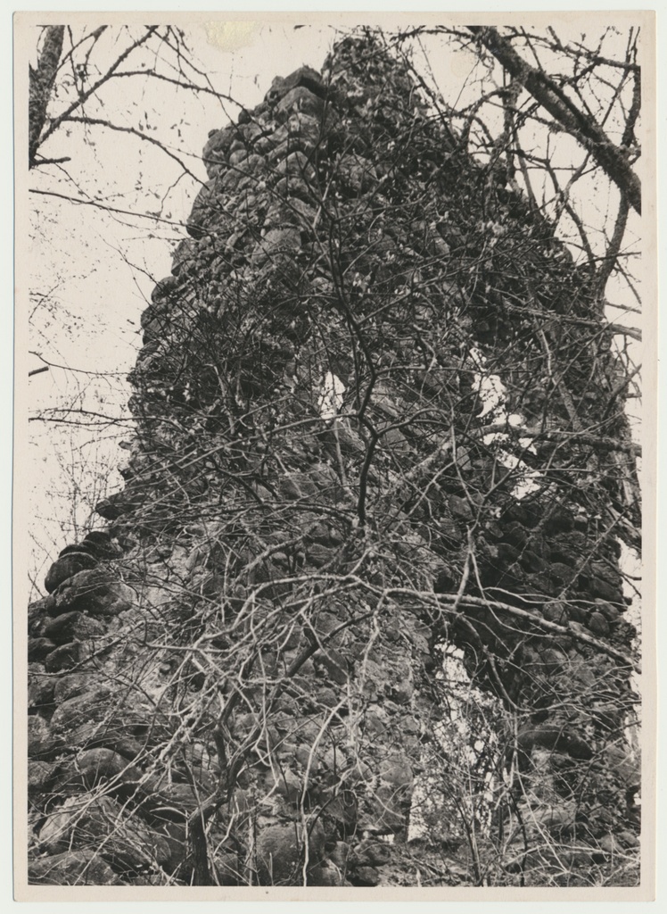 foto, Viljandimaa, Tarvastu lossivaremed, u 1970