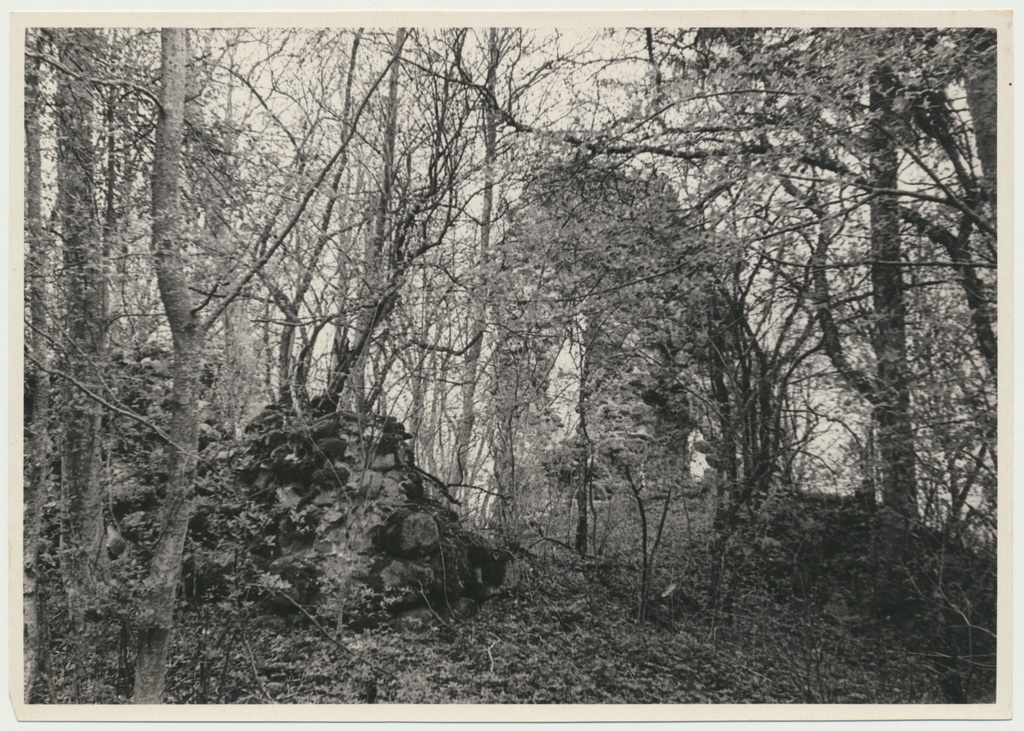 foto, Viljandimaa, Tarvastu lossivaremed, u 1970