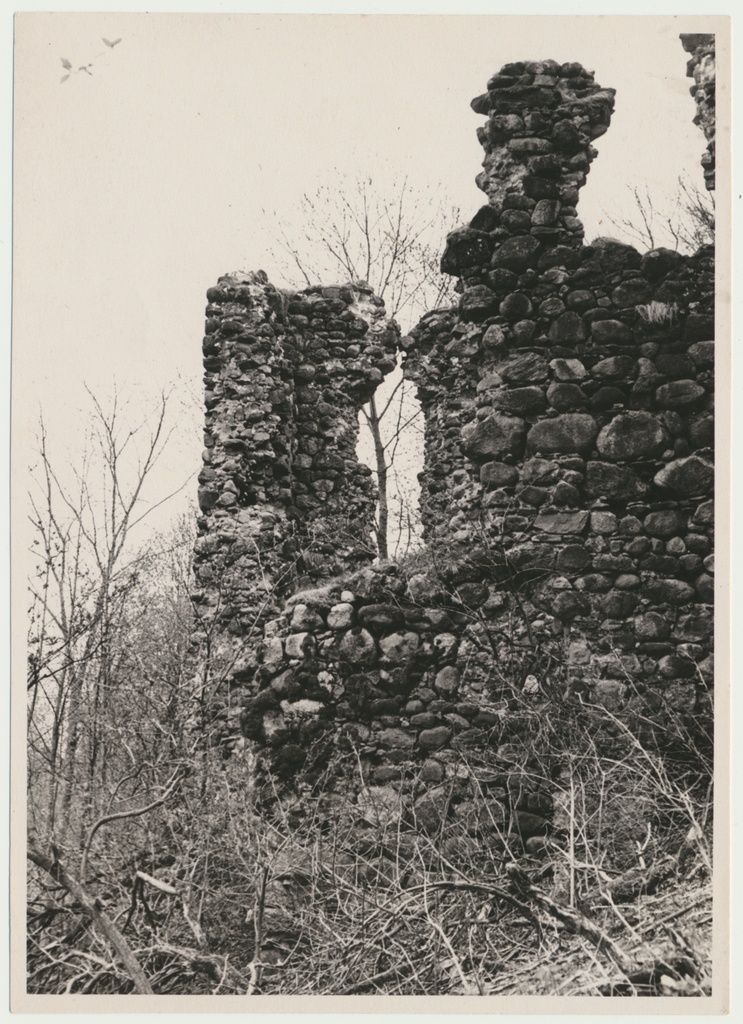 foto, Viljandimaa, Tarvastu lossivaremed, vaade tornist, u 1970