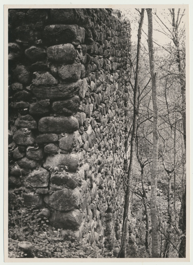 foto, Viljandimaa, Tarvastu lossivaremed, väravatorn, müür, u 1970