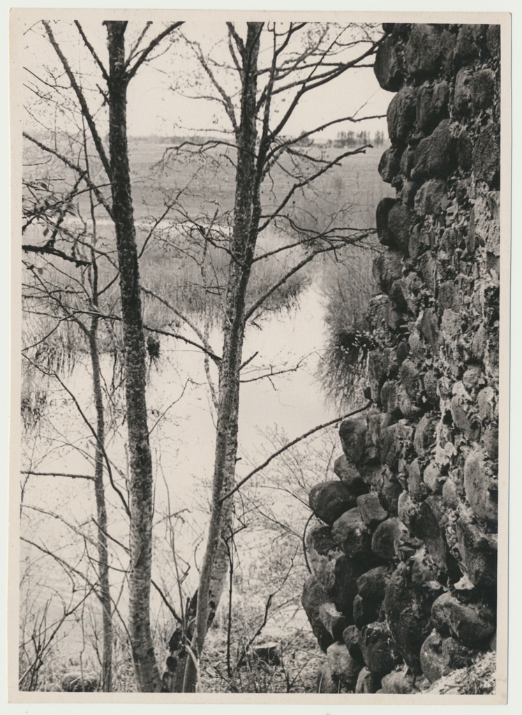 foto, Viljandimaa, Tarvastu lossivaremed, mädajärv, u 1970
