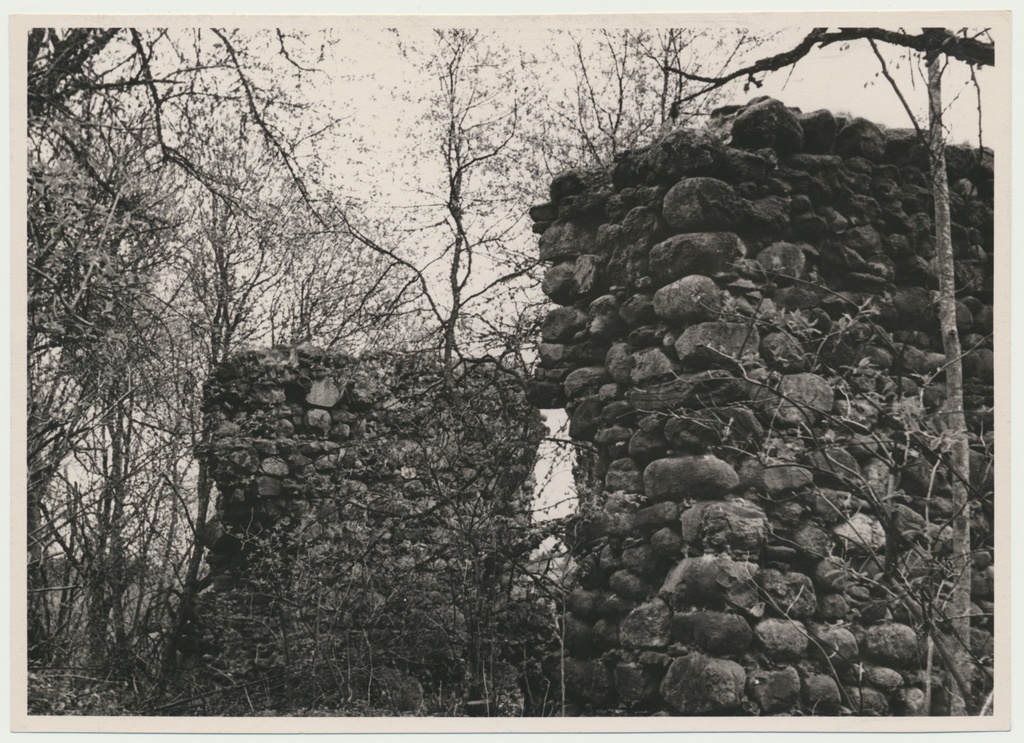 foto, Viljandimaa, Tarvastu lossivaremed, torn, u 1970