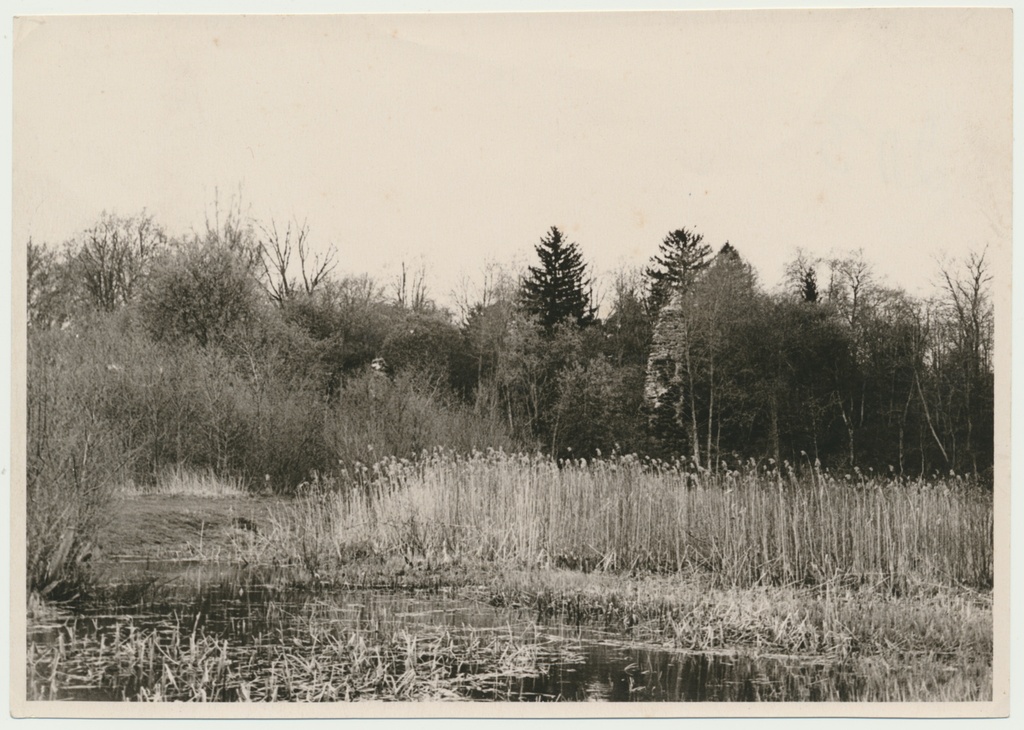 foto, Viljandimaa, Tarvastu lossivaremed, mädajärv, u 1970