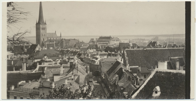 foto, Tallinn, üldvaade Rootsi kuninga aiast, 1929