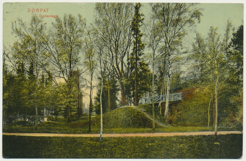 värviline trükipostkaart, Tartu, Toomemägi, u 1910, kirjastaja V.J. Solba