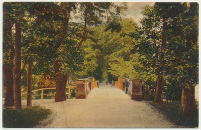 värviline trükipostkaart, Tartu, Toomemägi, Inglisild, u 1905  duplicate photo