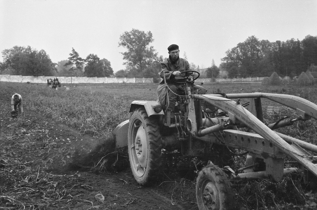 Kartulivõtt on Radio