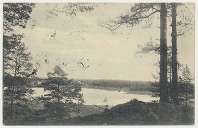 värviline trükipostkaart, Tartumaa, Elva, Väikejärv e Arbi järv, u 1910  duplicate photo