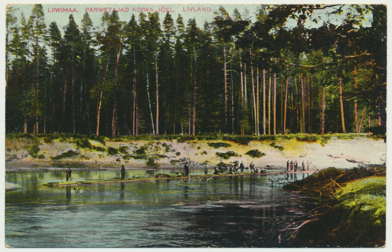 värviline trükipostkaart, Koiva jõgi, parvetaja, u 1908, kirjastaja G. Pihlak