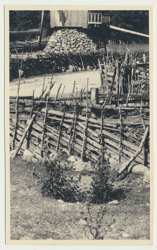 fotopostkaart, Saaremaa, roigasaed, u 1930, foto V. Suraš