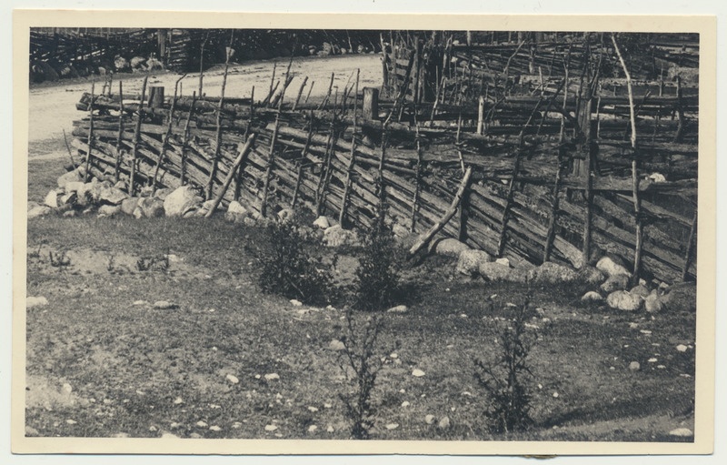 fotopostkaart, Saaremaa, roigasaed, u 1930, foto V. Suraš
