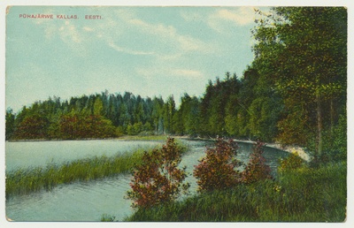värviline trükipostkaart, Pühajärv, u 1905  duplicate photo